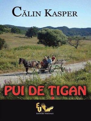 cover image of Pui de tigan